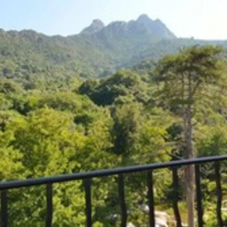 Casa Del Torrente Alpehytte *