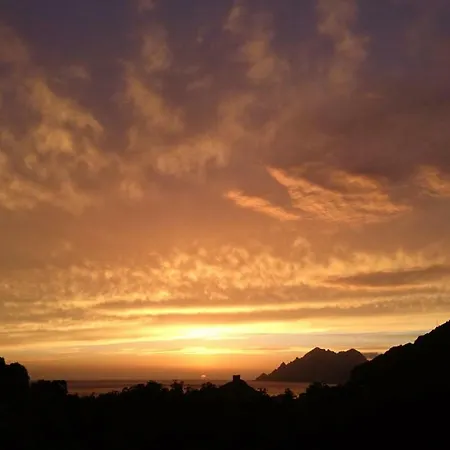 Casa Del Torrente Alpehytte