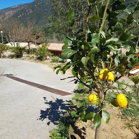 Alpehytte Casa Del Torrente *