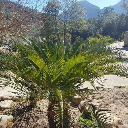 Chalet Casa Del Torrente Porto (Corsica)
