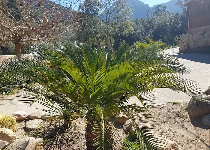 Chalet Casa Del Torrente Porto (Corsica)